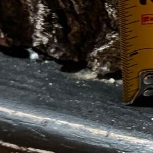 Banana Republic Sloan Black Jeans, Women's size 10